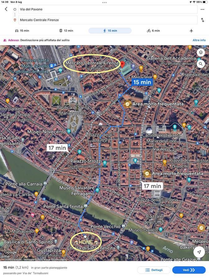 Uffizi & Santo Spirito Family/Groups Apartment Florencie Exteriér fotografie